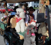 Spruce-Creek-Toyparade-2015- IMG_1195