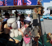 Spruce-Creek-Toyparade-2015- IMG_1198