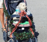 Spruce-Creek-Toyparade-2015- IMG_1450