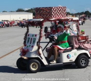 Spruce-Creek-Toyparade-2015- IMG_1478