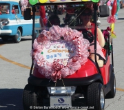 Spruce-Creek-Toyparade-2015- IMG_1524