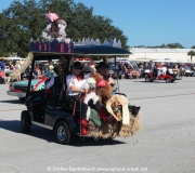 Spruce-Creek-Toyparade-2015- IMG_1531