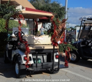 Spruce-Creek-Toyparade-2015- IMG_1711