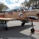 Spruce Creek Toyparade 2016 IMG_7936