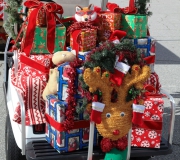 Spruce Creek Toyparade 2016 IMG_7945