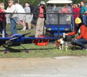 Spruce Creek Toyparade 2016 IMG_8158