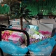 Spruce Creek Toyparade 2018 IMG_7605