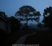 Spruce Creek Photos  IMG_5066