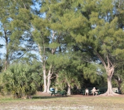 St Petersburg Florida IMG_8348