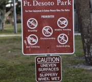 St Petersburg Florida IMG_8353