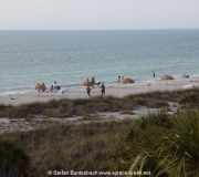 St Petersburg Florida IMG_8359