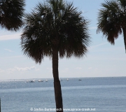 St Petersburg Florida IMG_9003