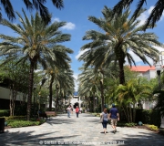 St Petersburg Florida IMG_9036