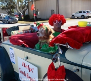 Impressionen von der Spruce Creek Toyparade 2014 IMG_7446