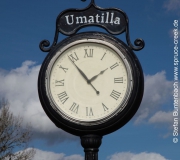 Uhr in Umatilla, Florida --- IMG_8039